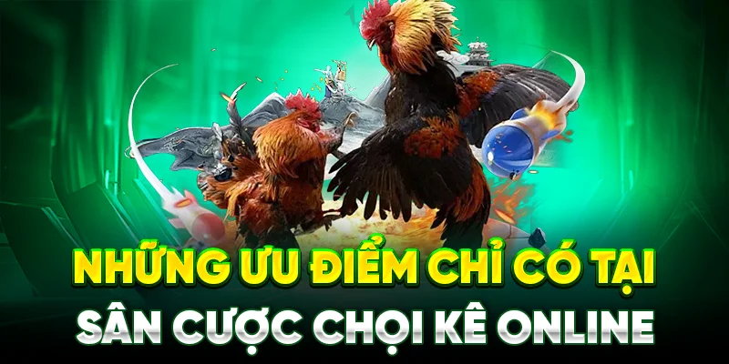 Những ưu vượt trội chỉ có tại sân cược chọi kê online