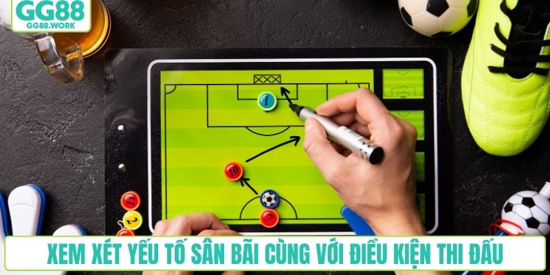 Xem xét yếu tố sân bãi cùng với điều kiện thi đấu